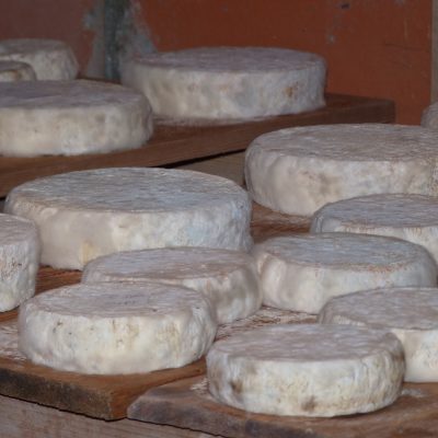 Celliers, sa fromagerie